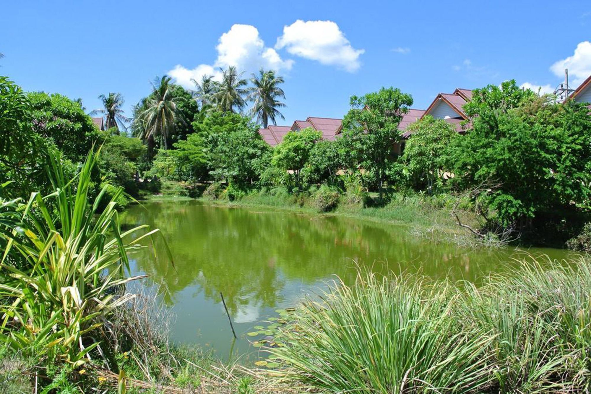 Baan Chay Lay Koh Phangan Exteriör bild